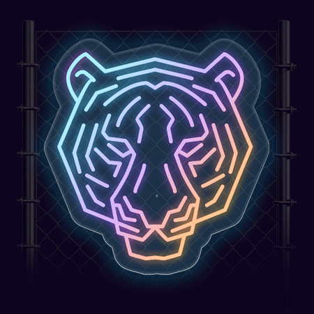 RGB Gradient Neon Signs (Multicolour Flow)